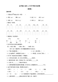 21、五年级上册11月月考语文试卷（原卷+答案与解释）2023年秋 人教部编版