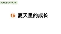 小学语文人教部编版六年级上册夏天里的成长教课内容课件ppt