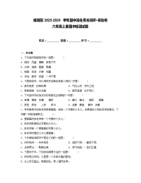 期中阶段性调研卷·基础卷-2023-2024学年语文六年级上册（统编版）