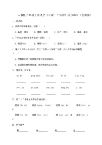 小学语文只有一个地球精品课时作业