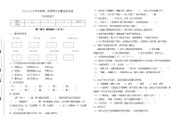 期中质量检测试卷（试题）统编版语文六年级上册1