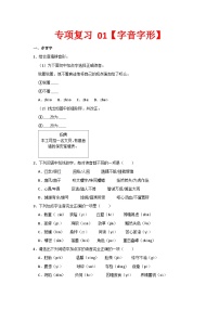 专题01 字音字形