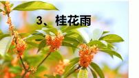 小学语文人教部编版五年级上册桂花雨示范课ppt课件