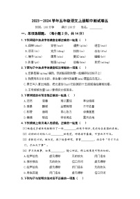 2023－2024学年五年级语文上册期中测试卷（五）（部编版）