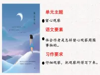 人教部编版三年级上册搭船的鸟备课ppt课件