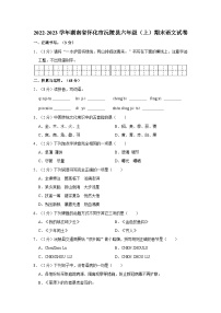 2022-2023学年湖南省怀化市沅陵县六年级上学期期末语文试卷（含答案解析）