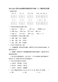 2022-2023学年山东省临沂市临沐县六年级上学期期末语文试卷（含答案解析）