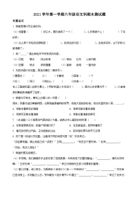 精品解析：2021-2022学年广东省广州市番禺区部编版六年级上册期末考试语文试卷（原卷版）+答案