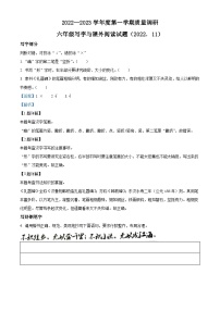 2022-2023学年江苏省徐州市沛县部编版六年级上册期中调研语文写字与课外阅读试卷（解析版）