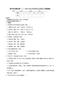 期中阶段测试卷（二）2023-2024学年语文五年级上册统编版