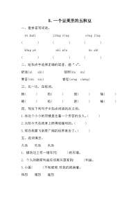 小学语文人教部编版四年级上册一个豆荚里的五粒豆课后作业题