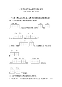 期中阶段综合练习2（试题）-统编版语文二年级上册