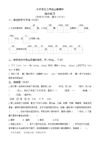 期中阶段综合练习（试题）-统编版语文二年级上册