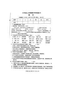 甘肃省庆阳市宁县太昌乡2023-2024学年六年级上学期11月期中语文试题