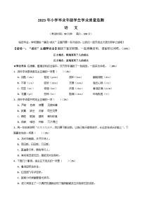 11，山东省青岛市2022-2023学年六年级下学期期末学业质量监测语文试题