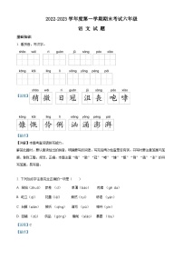 2022-2023学年河北省保定市望都县部编版六年级上册期末考试语文试卷（解析版）