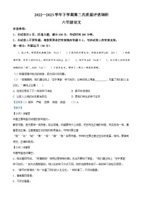 2022-2023学年河南省信阳市平桥区部编版六年级下册期中考试语文试卷（解析版）