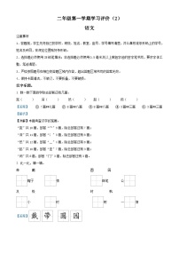 2022-2023学年吉林省白城市通榆县育才学校部编版二年级上册期中考试语文试卷（解析版）