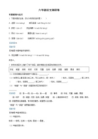 2022-2023学年江苏省徐州市新沂市部编版六年级上册期中考试语文试卷（解析版）