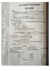 河南省南阳市淅川县2023-2024学年二年级上学期期中测试语文试卷