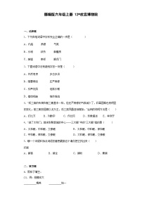 语文六年级上册故宫博物院课时作业