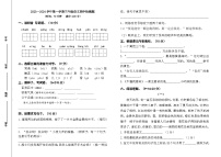 山东省淄博市沂源县2023-2024学年三年级上学期期中检测语文试卷