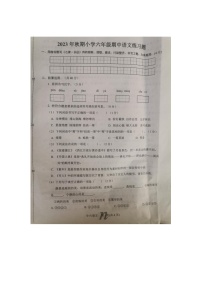 河南省南阳市南召县2023-2024学年六年级上学期11月期中语文试题