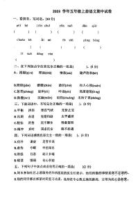 广东省江门市穗华小学2023-2024学年五年级上学期期中考试语文试题