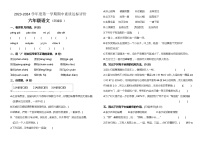 河北省保定市望都县2023-2024学年六年级上学期11月期中语文试题