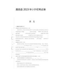 河南省周口市鹿邑县2022-2023学年六年级下学期期末考试语文试卷