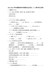 安徽省亳州市涡阳县2023-2024学年五年级上学期期中语文试卷