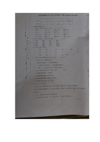 江西省宜春市万载县联考2023-2024学年三年级上学期语文期中测试卷