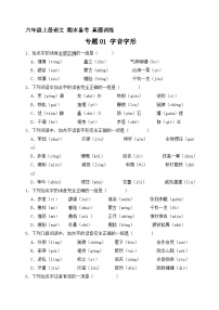 10、专题01 字音字形 （原卷+参考答案）六年级上册语文期末备考真题训练（统编版）