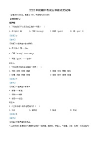 2022-2023学年湖北省广水市西协作区部编版五年级上册期中考试语文试卷（解析版）