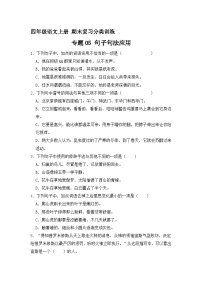 7、专题05 句子句法应用 （原卷+答案）四年级语文上册期末复习分类训练  统编版