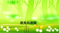 语文三年级下册鹿腿多媒体教学ppt课件