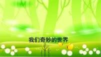 人教部编版三年级下册我们奇妙的世界集体备课课件ppt