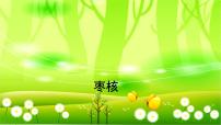 小学语文人教部编版三年级下册枣核图片课件ppt