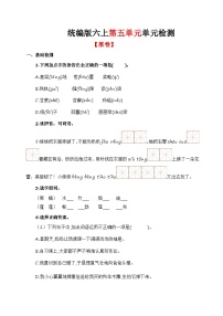 第五单元单元检测（原卷+答案与解释）统编版六年级上册语文