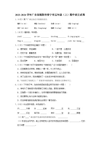 广东省揭阳市普宁市2023-2024学年五年级上学期期中语文试卷