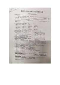 浙江省金华市兰溪市振兴小学2023-2024学年六年级上学期11月期中语文试题