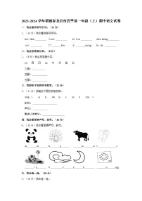 福建省龙岩市武平县2023-2024学年一年级上学期期中语文试卷