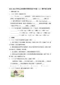 2023-2024学年山东省滨州市阳信县六年级上学期期中语文试卷（含答案）