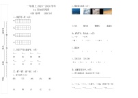 四川省巴中市巴州区巴中光正实验学校2023-2024学年一年级上学期12月月考语文试题