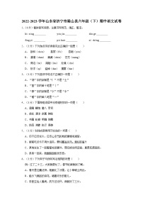 2022-2023学年山东省济宁市梁山县六年级下学期期中语文试卷（含答案）