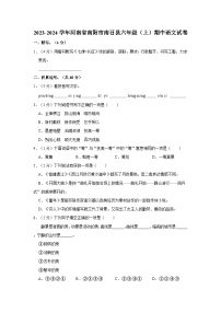 2023-2024学年河南省南阳市南召县六年级上学期期中语文试卷（含答案）