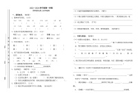 第二次月考试卷（试题）-统编版语文四年级上册