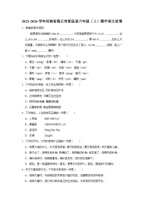 河南省商丘市夏邑县2023-2024学年六年级上学期期中语文试卷