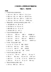 专题01：字音字形-2023-2024学年 六年级语文上学期期末复习题型专练  原卷版（统编版）