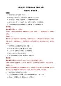 专题02：词语运用-2023-2024学年 六年级语文上学期期末复习题型专练  解析版（统编版）